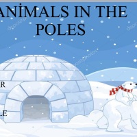 8 - Ömer Faruk Elibol